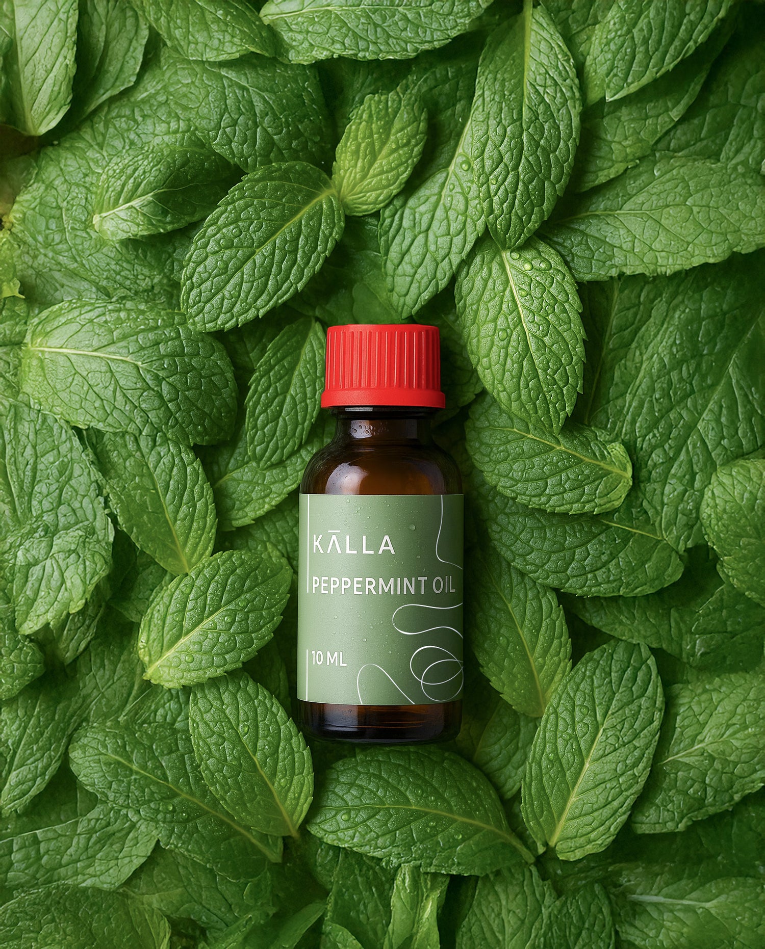 PEPPERMINT OIL