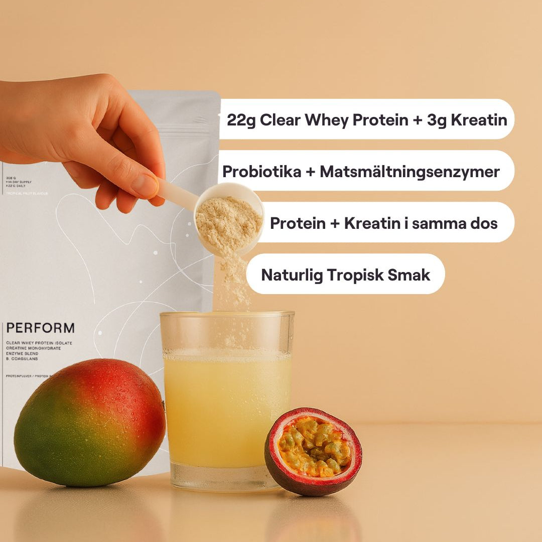 PERFORM: Protein Powder