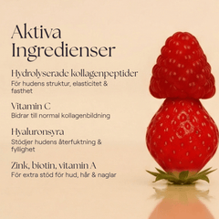 Collagen+